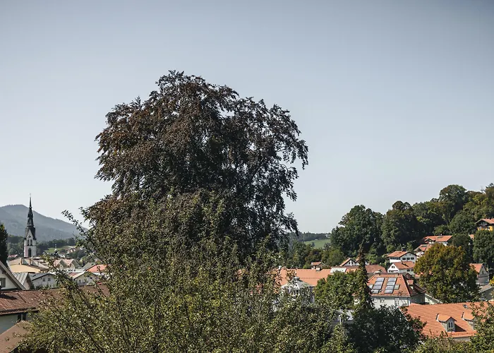 Suiten Zantl
