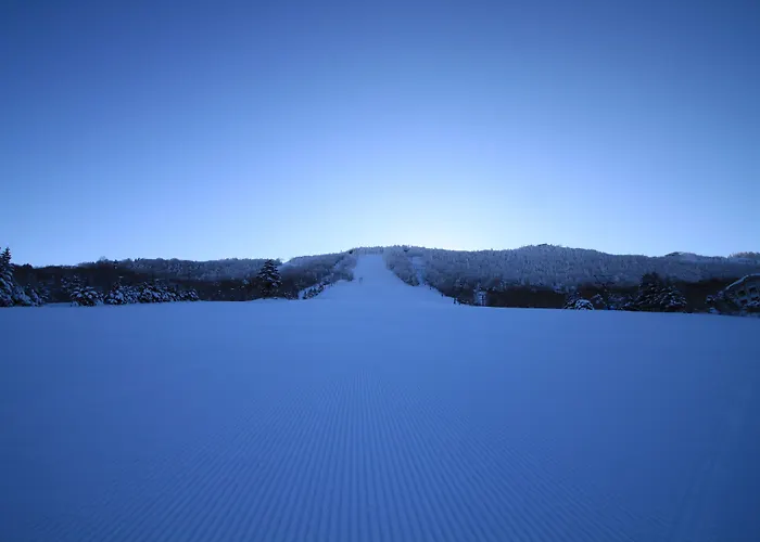 Shiga Kogen Olympic Hotel