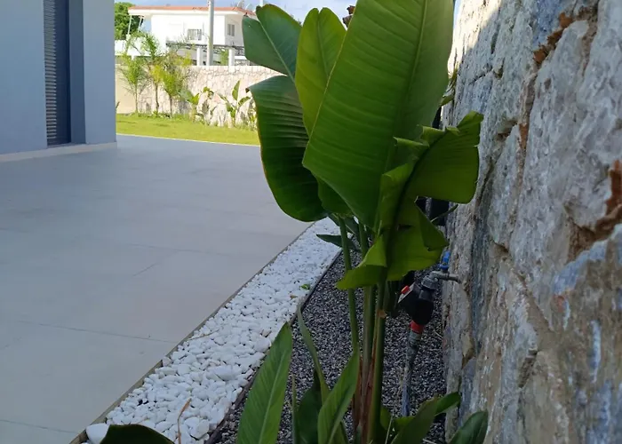 Azure Mirage Home Adults Only Private Seaside Villa W Garden And Parking