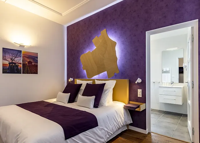 Hotel Du Palais Dijon