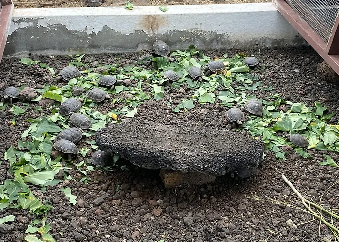 Maidith Galapagos Inn