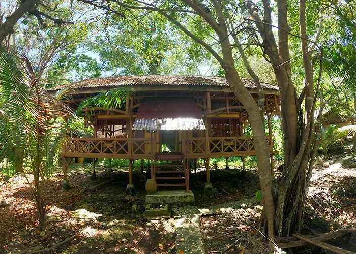 Hoga Island Dive Resort