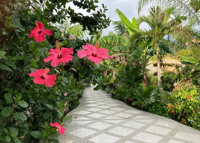 Hotel La Costa Internacional