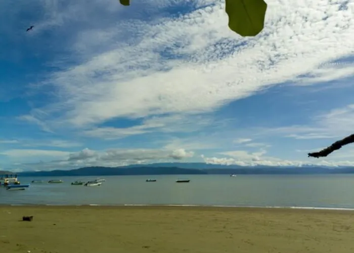 Agua Luna By The Beach