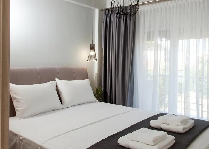 Ammoshine Suite 1