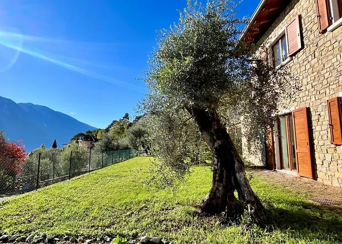 Casa L'Oliver