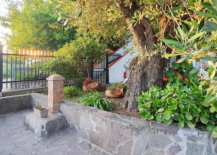 Amazing Apartment In Casal Velino With Wifi