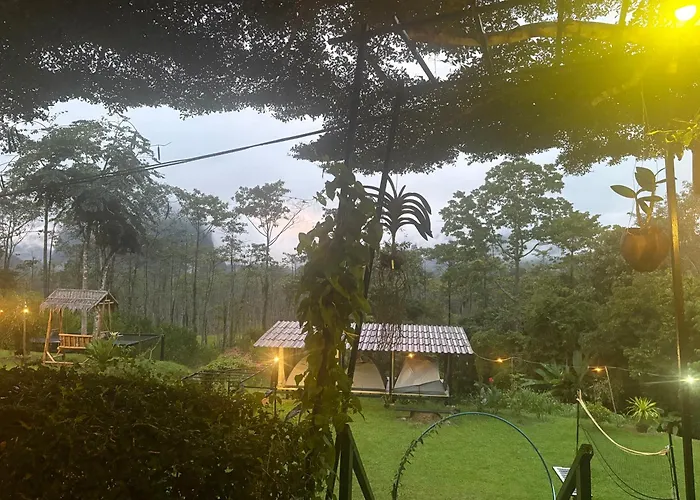 Khao Sok Hill Top Resort
