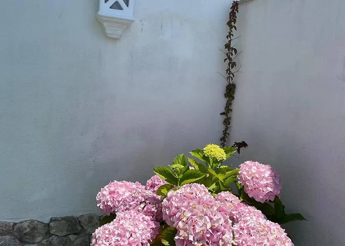 Casa Belo Horizonte