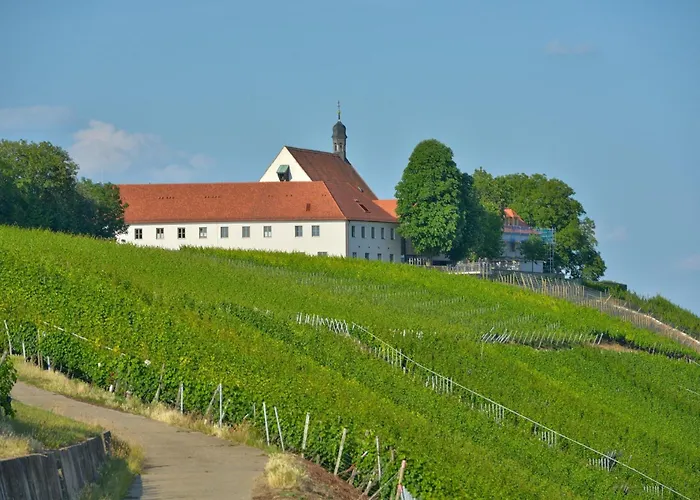 Vogelsburg