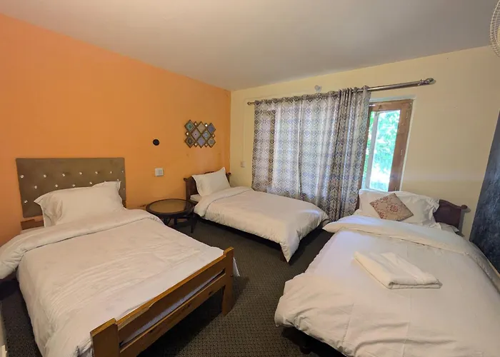 White Apricot Lodge