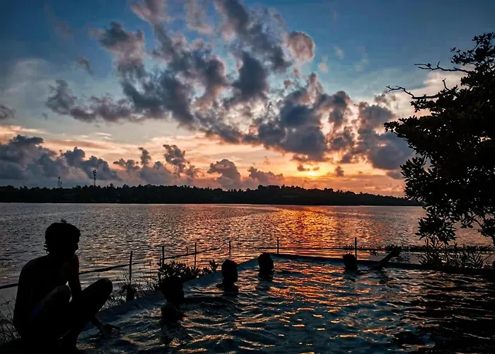 The Island On Bolgoda
