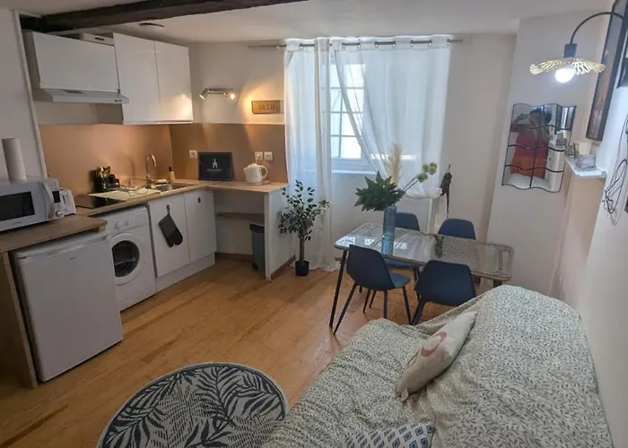 Cosy Eglantine And Planta - Clemenceau Hypercentre - 2 Places De Parking Souterrain