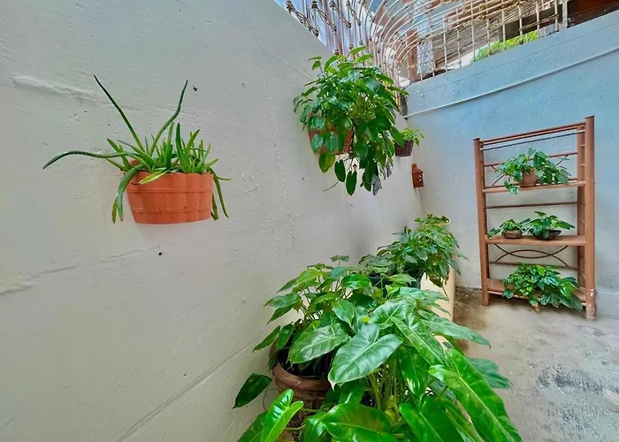 Casa Miss Mercedes, Calle Adelita, Ground Floor