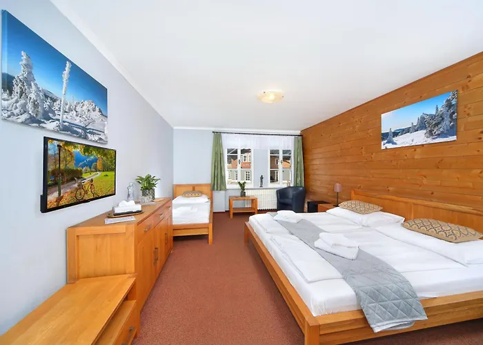 Hotel Erika
