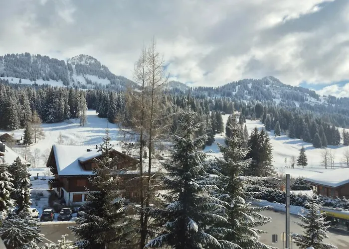 Hotel Des Alpes Superieur