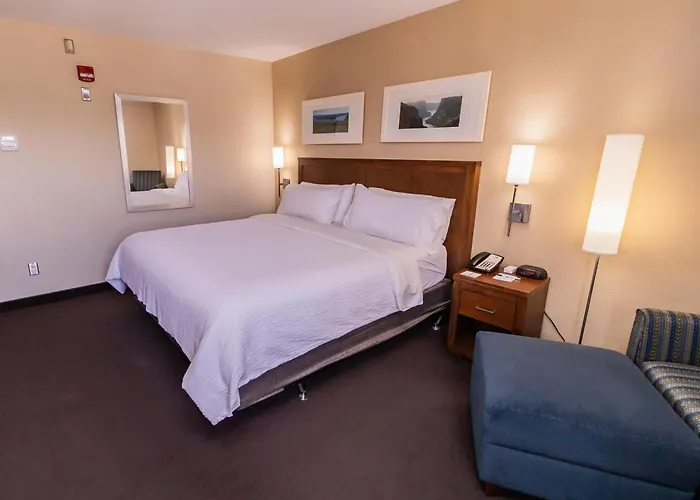Deer Lake Horizon Hotel, BW Signature Collection
