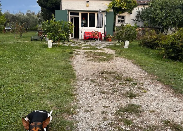 Punta Del Corno Agriturismo