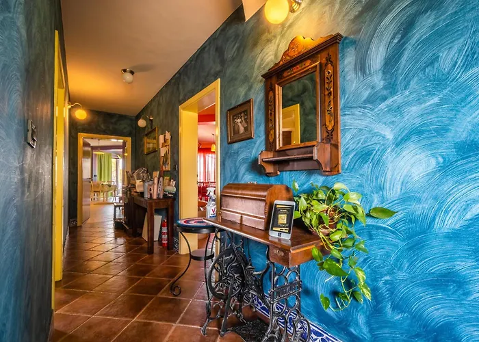 Apartments Oliveto - Calming Sea View