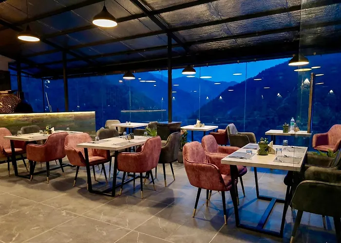 Hotel Chail Residency