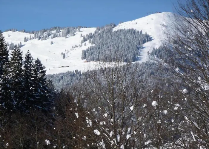 Detached Chalet In Saalbach