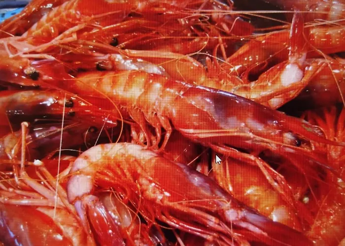 Casa Marinera En Palamos
