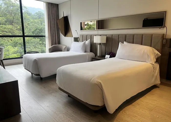 York Medellin, Curio Collection By Hilton