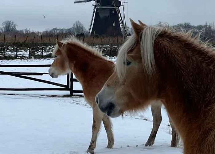 Chalet Aan De Rotte