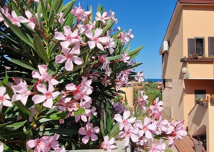 Su Bisu Costa Rei R4991 Wifi, Terrace With Sea View, 500M From The Beach