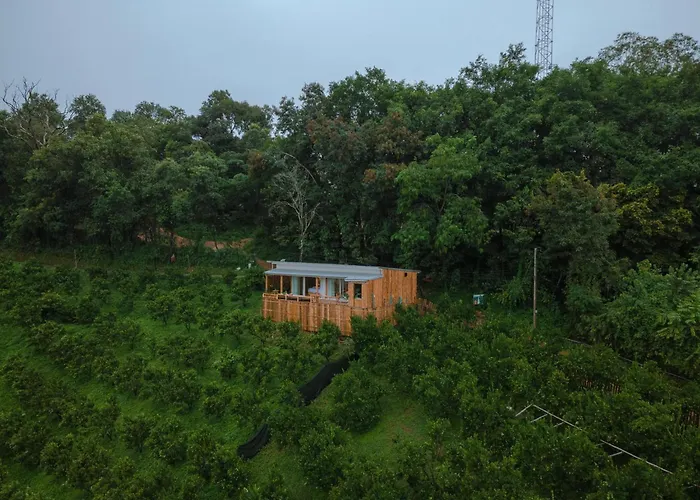 Paopao Orange Farm And Home Stay