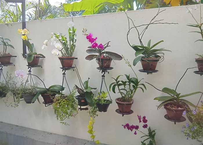 Dinu Lanka Resort