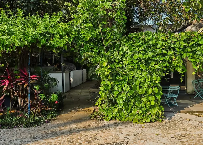 Sashas Holiday Village
