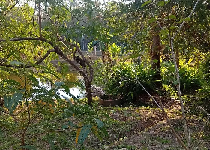 Chom Suan Farmstay