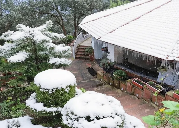 Essence Of Nature, Ranikhet
