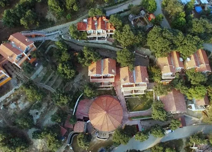 Essence Of Nature, Ranikhet