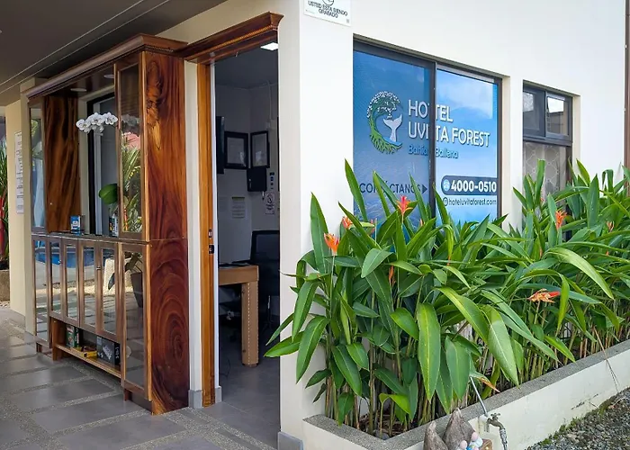 Hotel Uvita Forest