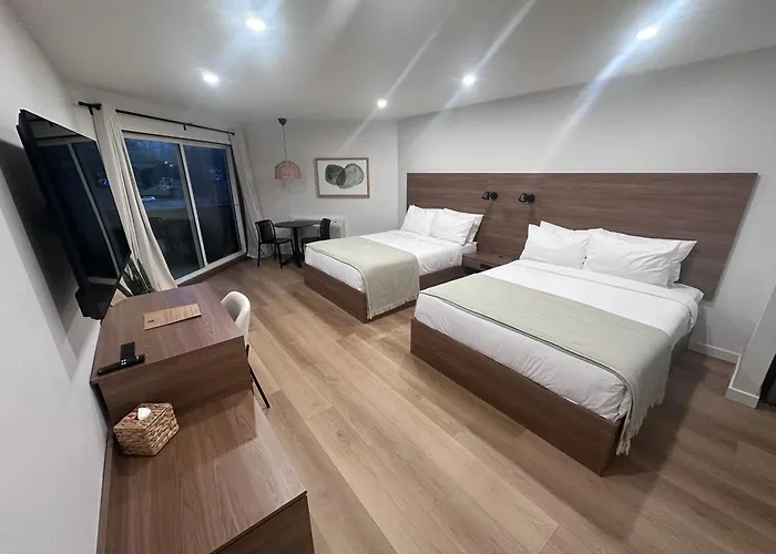 Hotel 19