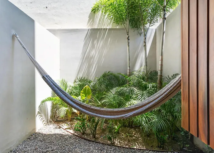 Alma Surf Lodge