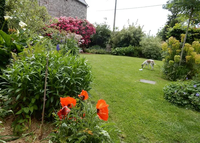 Les Coquelicots Classe 3 Etoiles