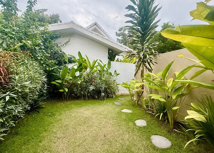 Pura Vida