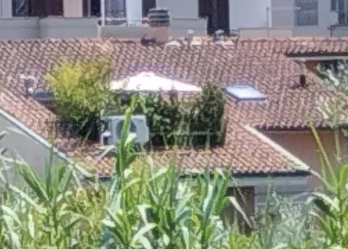 Bellini'S House
