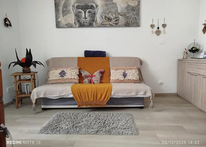 Bel Appartement T2 Neuf Et En Plein Centre