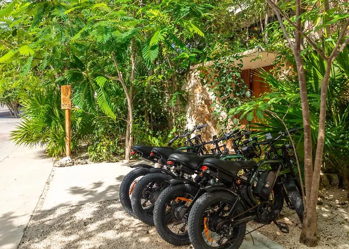Teva Tulum, Aldea Zama