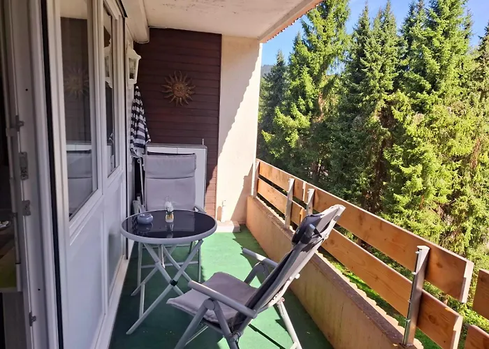 Fewo Mit Pool Haus Enere Au Im Sued-Schwarzwald