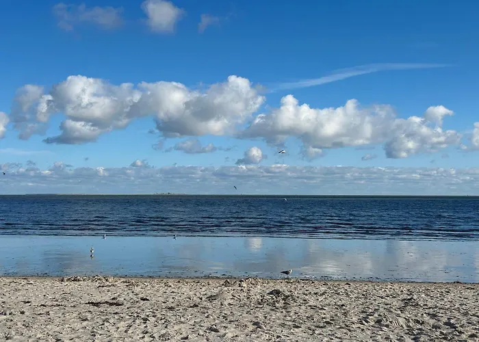 Nordsicht Lindenhof - Ruhe, Natur Und Nordseeluft In Ostfriesland Geniessen