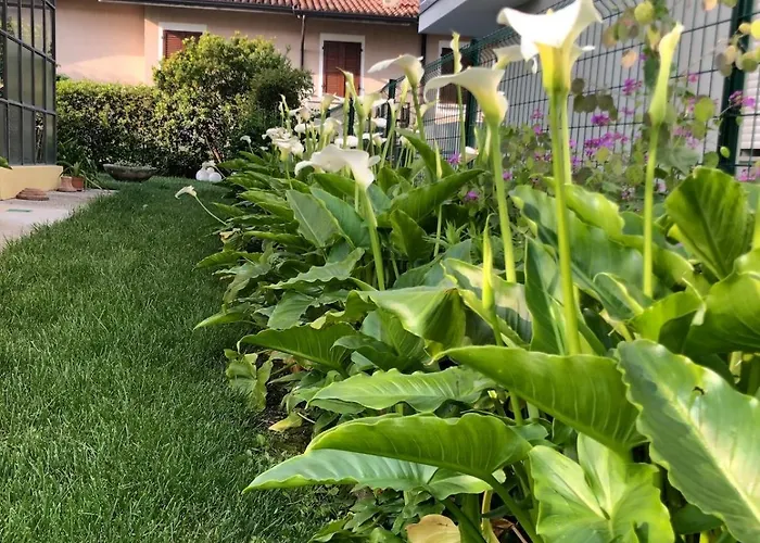 Casa Sivori Sul Lago Di Garda Con Ampio Giardino