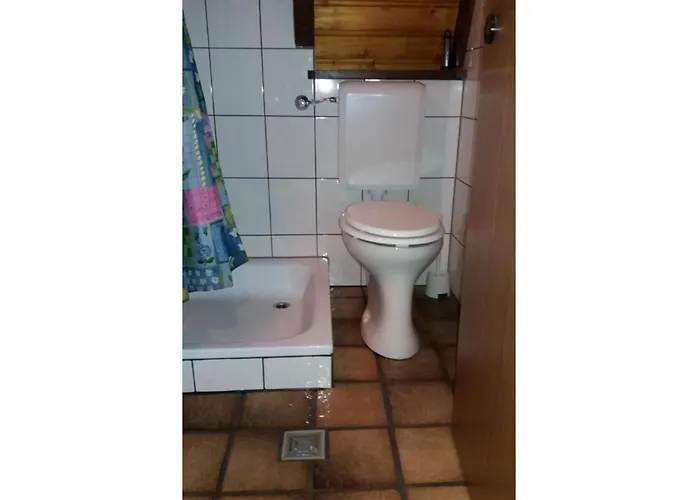 Typ Murmeltier