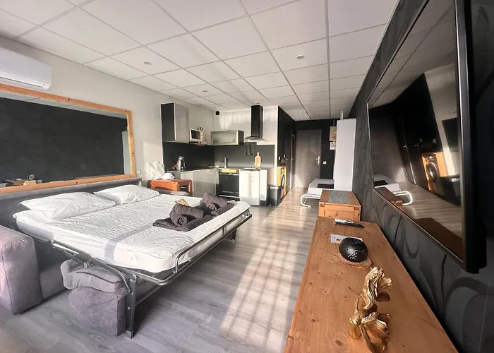 Studio Avec Terrasse Et Parking Vue Port Camargue