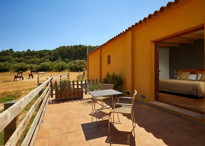 Coliving Rural Els Masos D'En Coll - Can Barnosell