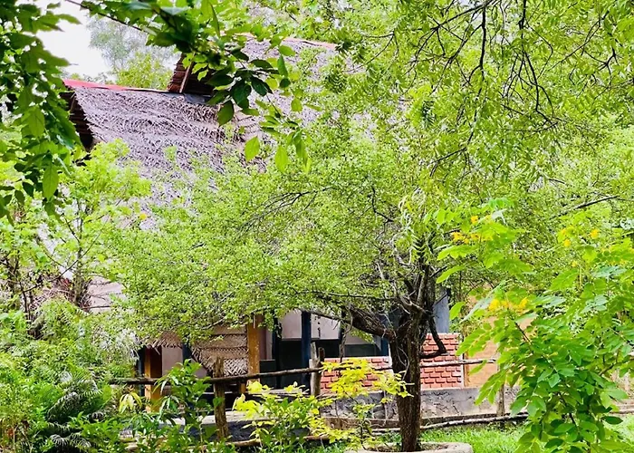 Sigiriya Coconut Shade Resort